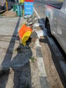 64921523435211832280381073730844860295485349n