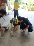 65105990235285919539639013884709952785524655n