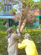 65180143235285918506305784921159183568675228n