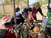 65127508235296704471893856736781490605900733n