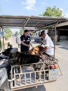 65259353835296714138559553607489535569899907n