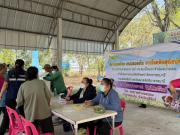 65260274435296705305227104024341188746530284n