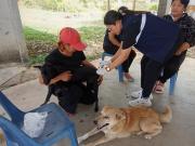 65245721035307311737499795234073441034434939n