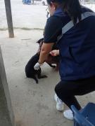 65336311835307312937499678968423342097687215n