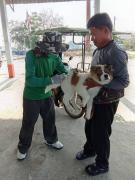 65444375235307313837499581804313773409803201n