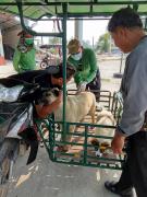 65529813235307314104166225250457585858343993n